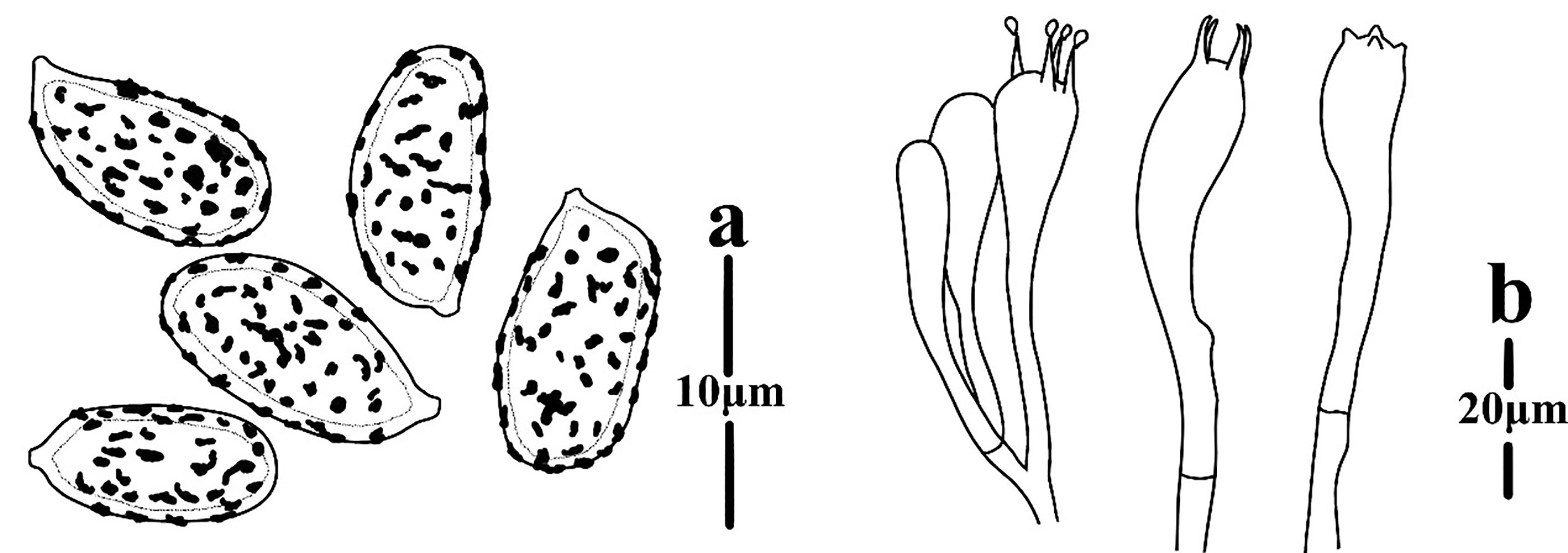 Figure 48